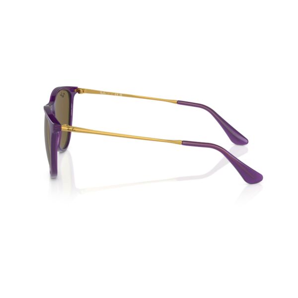 Ray-Ban Kids Erika RJ 9060S