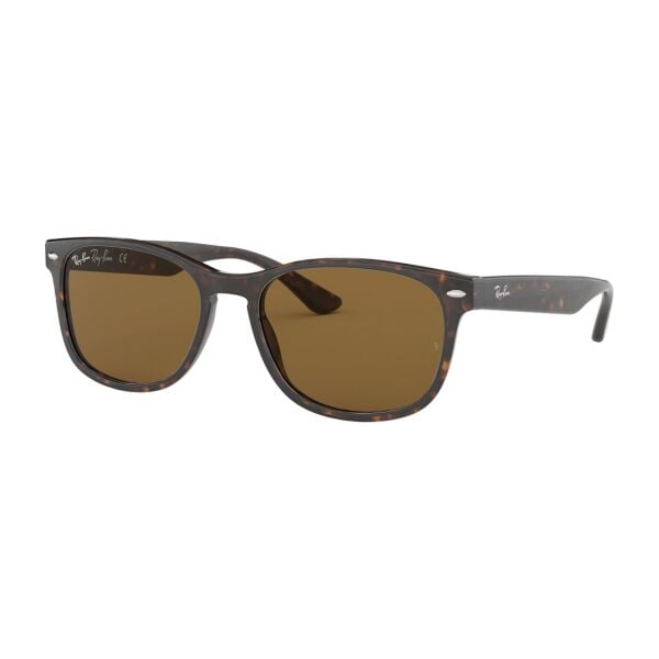 Ray-Ban RB 2184