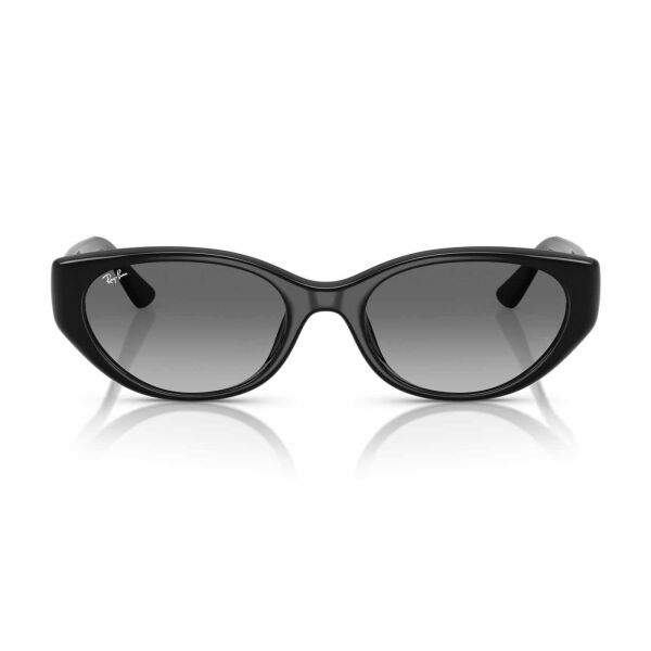 Ray-Ban RB 4457D