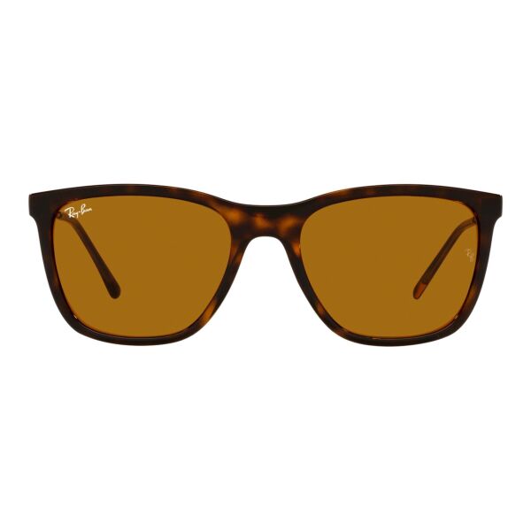Ray-Ban RB 4344