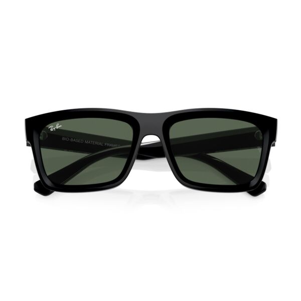 Ray-Ban Warren RB 4396