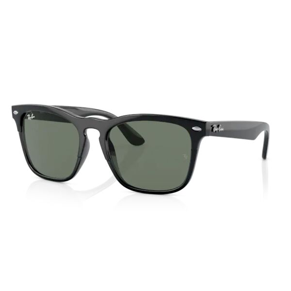 Ray-Ban Steve RB 4487