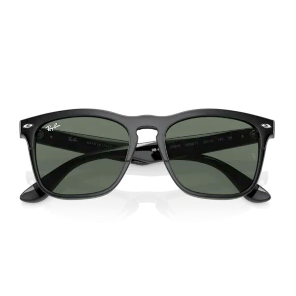 Ray-Ban Steve RB 4487